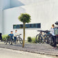 Portabicicletas Thule Apex XT 4