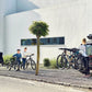 Portabicicletas Thule Apex XT 5 (5 bicicletas)